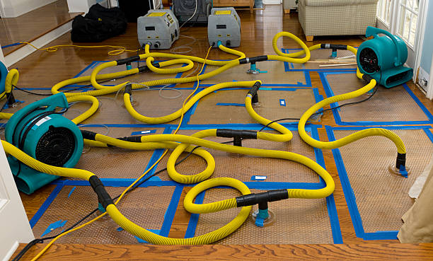 Professional Flood Damage Restoration technician working in Fallon, NV